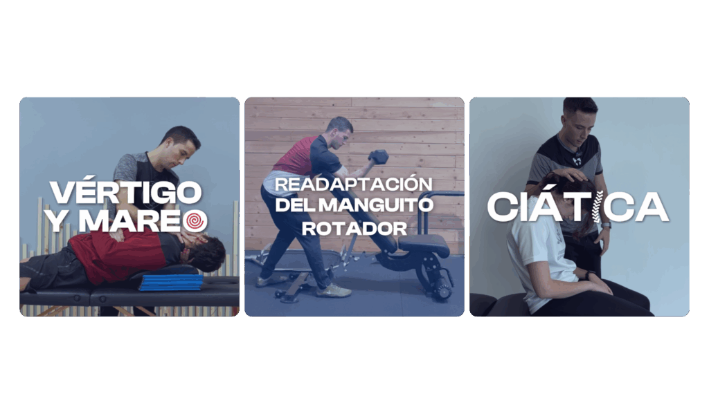 readaptación física, readaptación deportiva, fisioterapia, En Forma, curso fisioterapia, EN-FORMA, formación, entrenamiento, En Forma formación, fisioterapia deportiva, readaptación