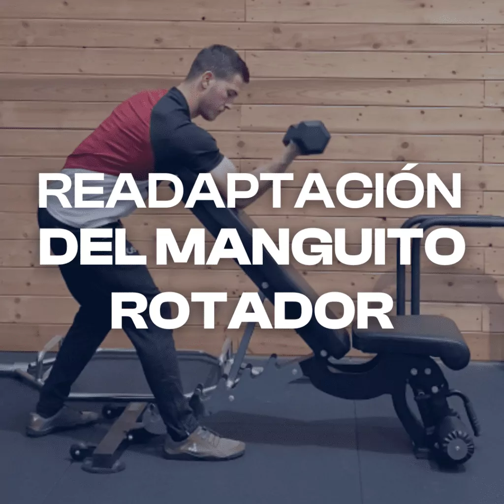 Curso manguito rotador. Formación de readaptación online para entrenadores y fisioterapeutas para tratar el dolor de hombro.